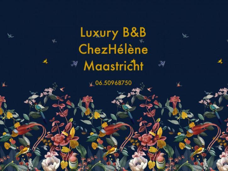 ماسترخت Chez Helene Luxury Appartment المظهر الخارجي الصورة